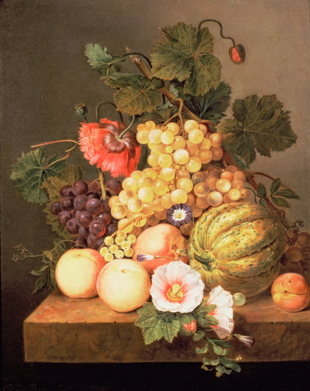 Stilleven met fruit door Johannes Cornelis Bruyn