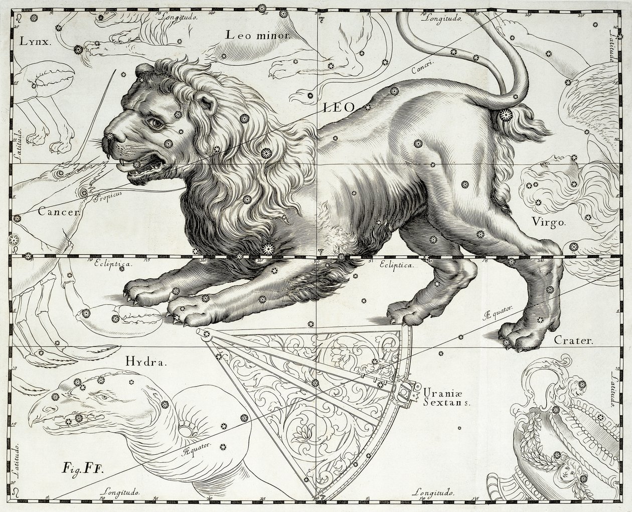 Leeuw, sterrenbeeld van de Leeuw, illustratie uit Johann Hevelius