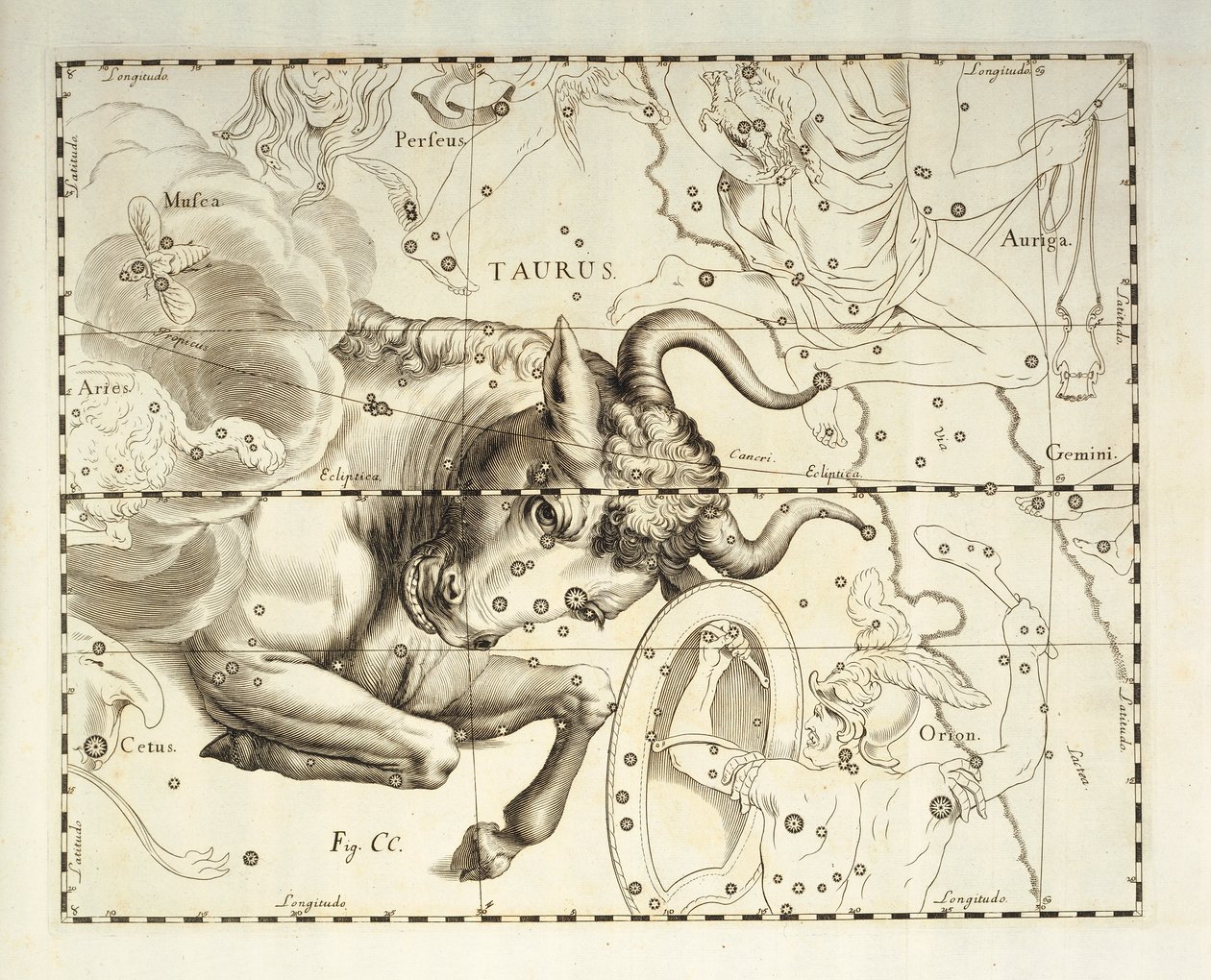 Stier, sterrenbeeld Stier, gravure uit hemels atlas Firmamentum Sobiescianum sive Uronographia, door Johann Hevelius (1611-1687), Gdansk door Johannes Hevelius
