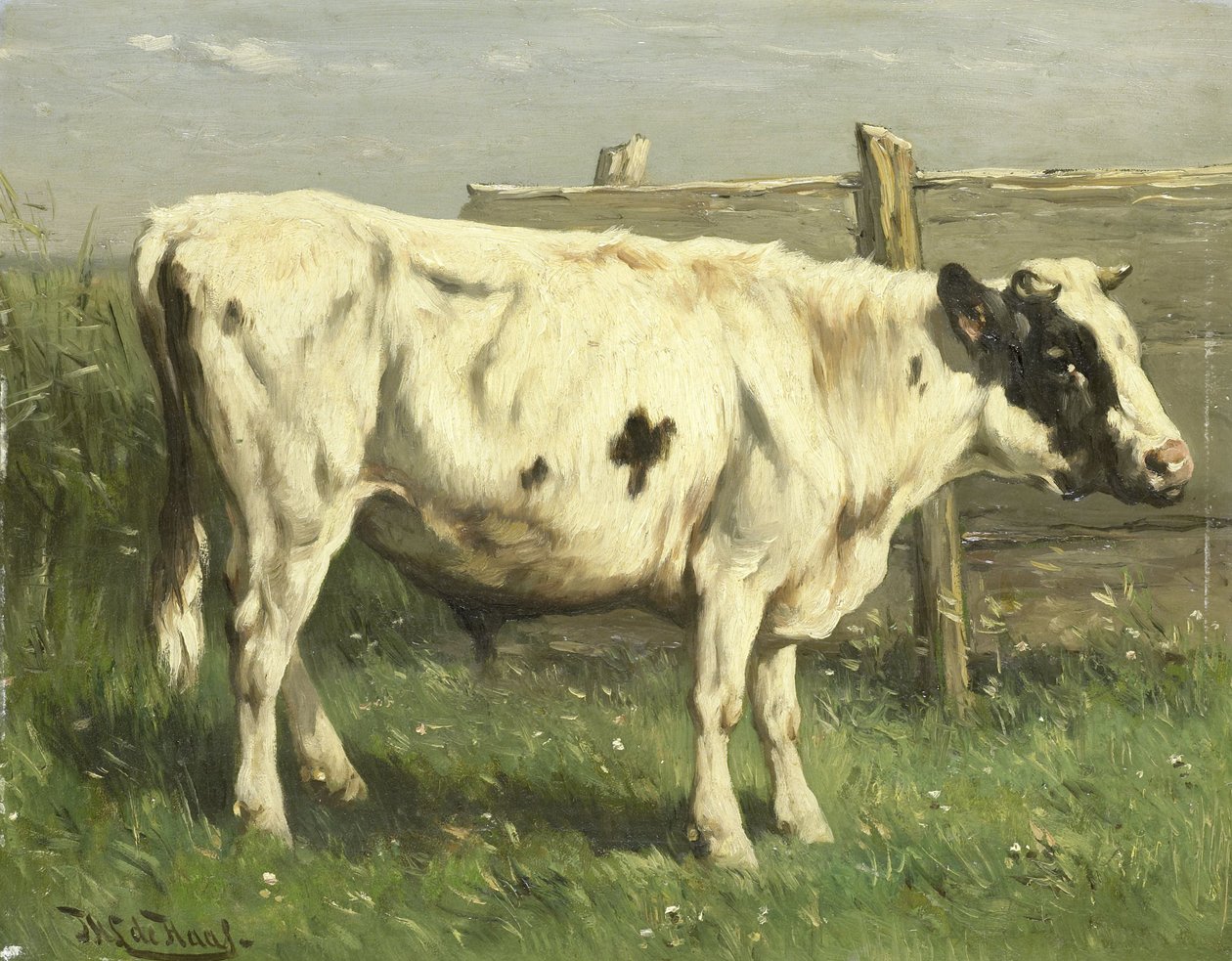  door Johannes Hubertus Leonardus de Haas