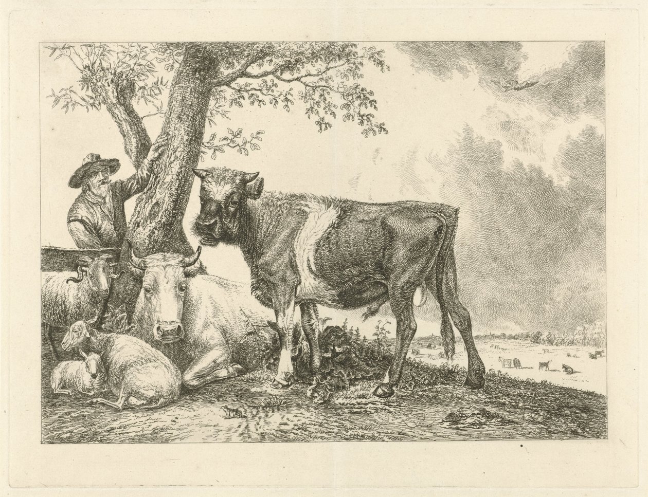 Stier en boer door Johannes Mock