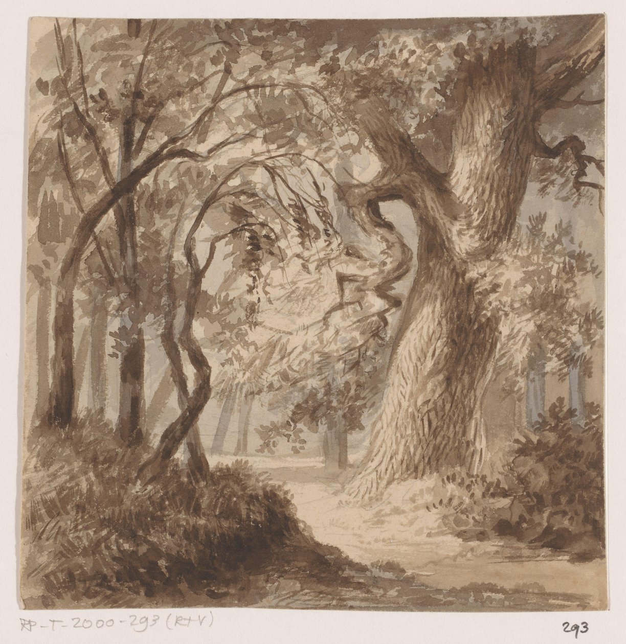 Boslandschap door Johannes Tavenraat