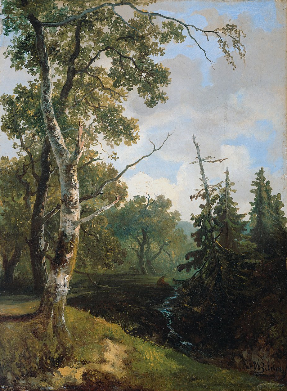 Bosgezicht bij Wolfheze. door Johannes Warnardus Bilders