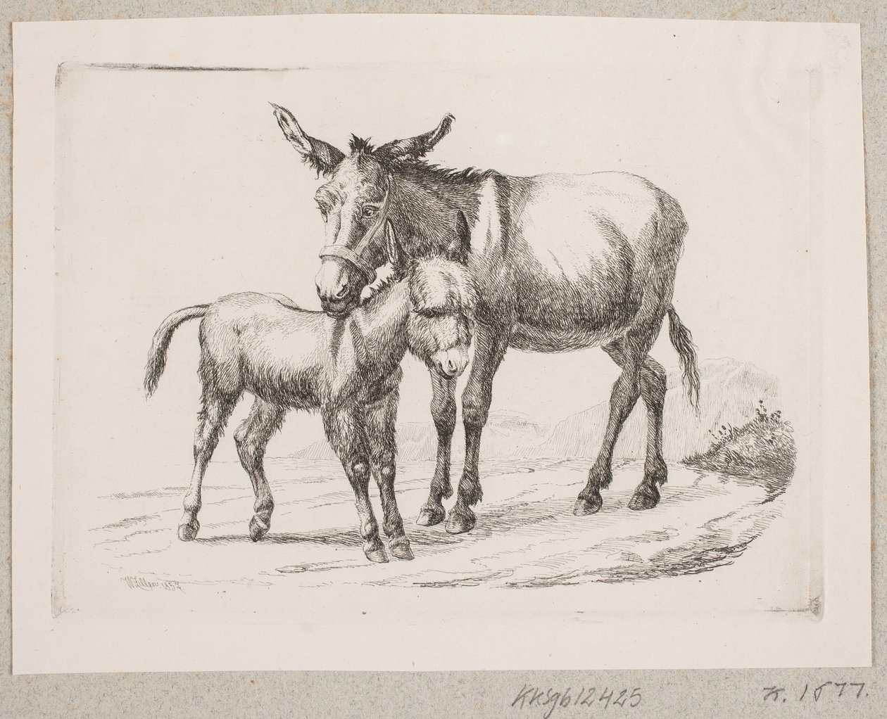Een ezel met zijn veulen door Johannes Wilhelm Zillen