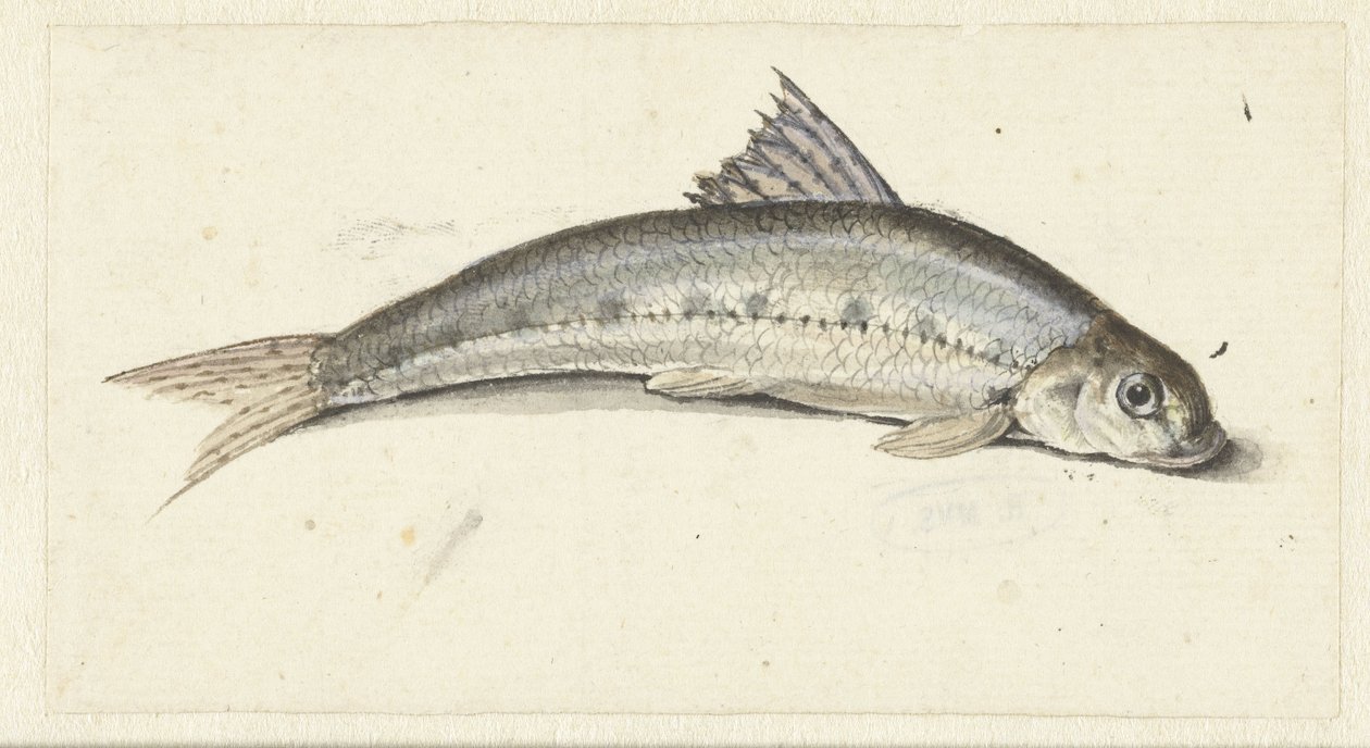 Gondel door Johannes le Francq van Berkhey