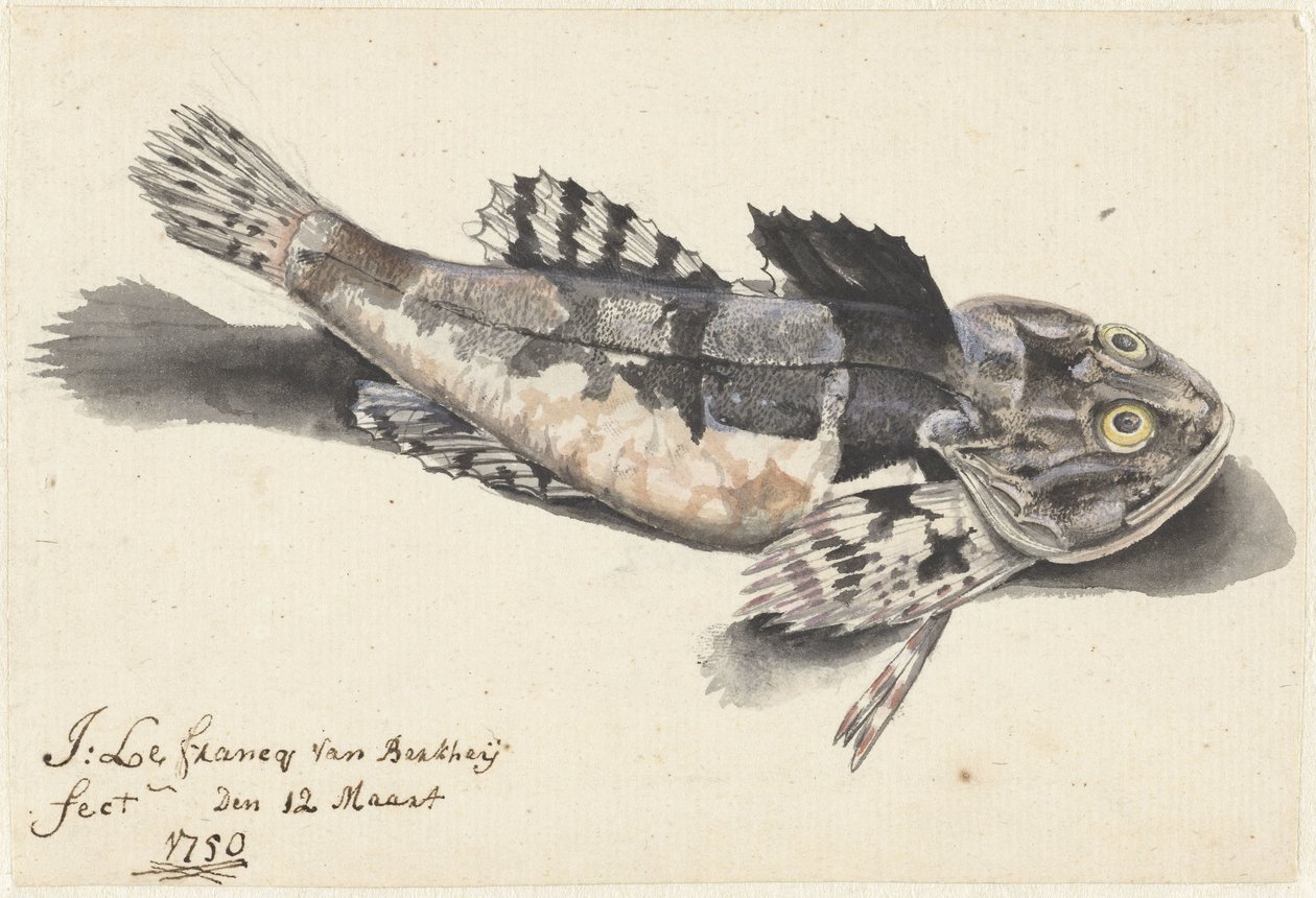 Zeedonderpad door Johannes le Francq van Berkhey