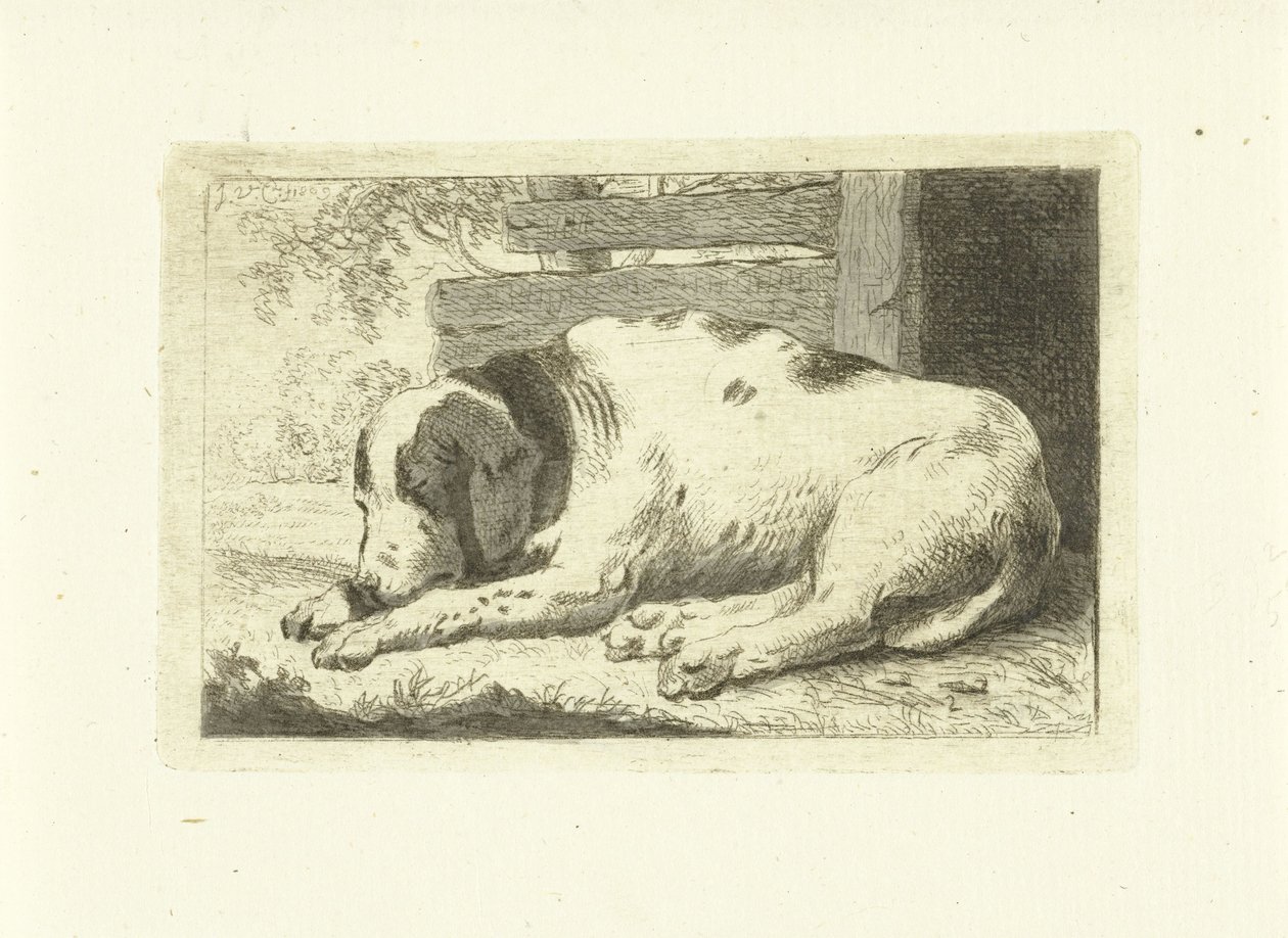Slapende hond door Johannes van Cuylenburgh