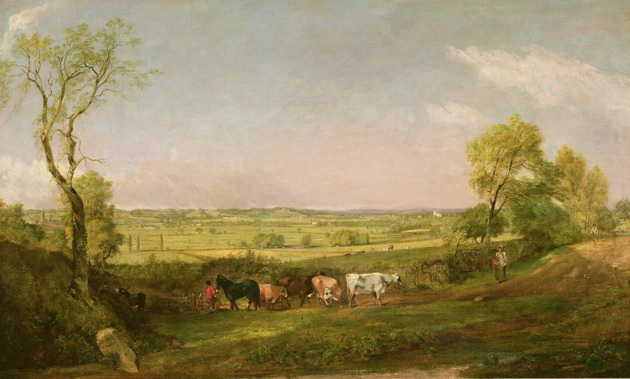 Dedham Vale: Ochtend, c.1811 door John Constable