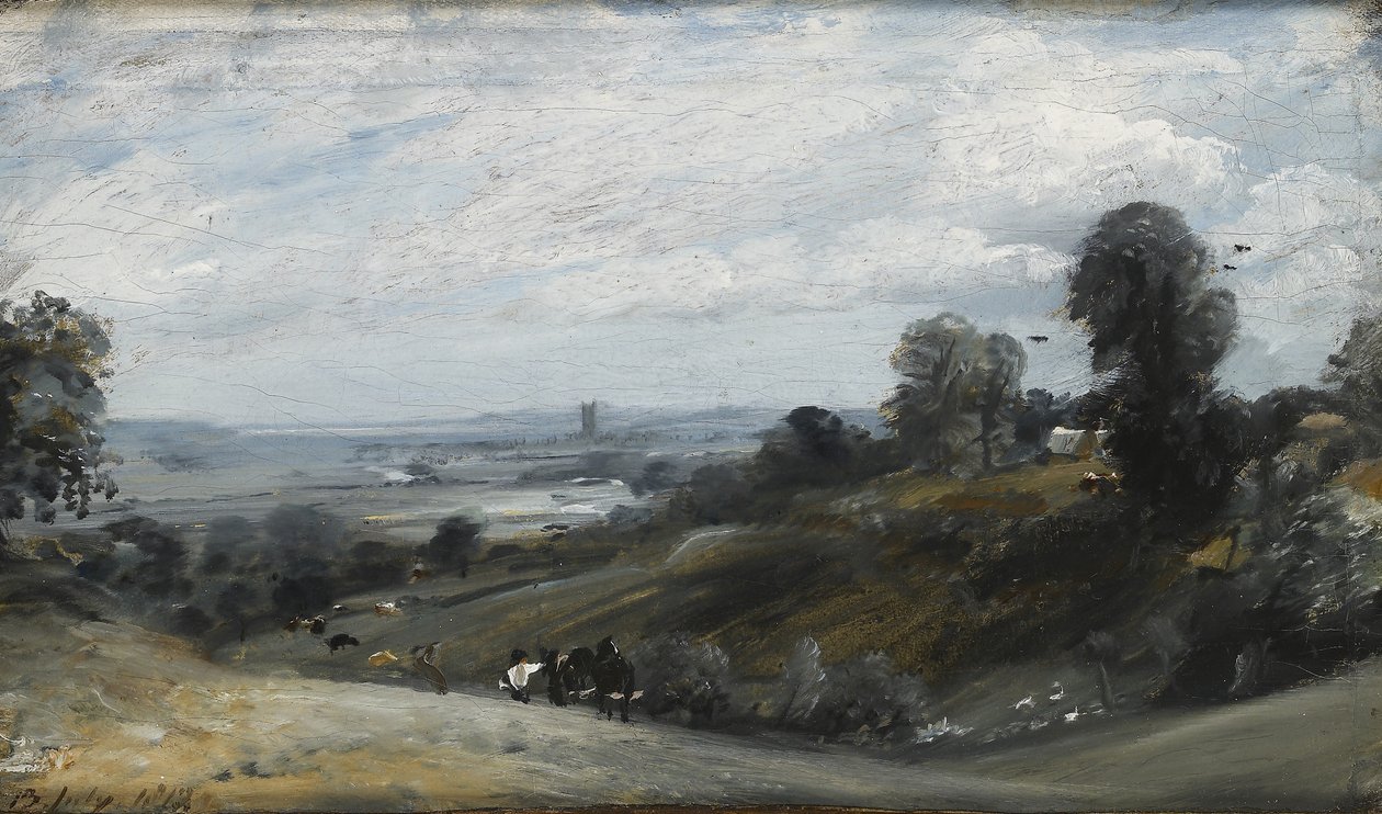 Dedham Vale vanuit Langham, 19e eeuw door John Constable
