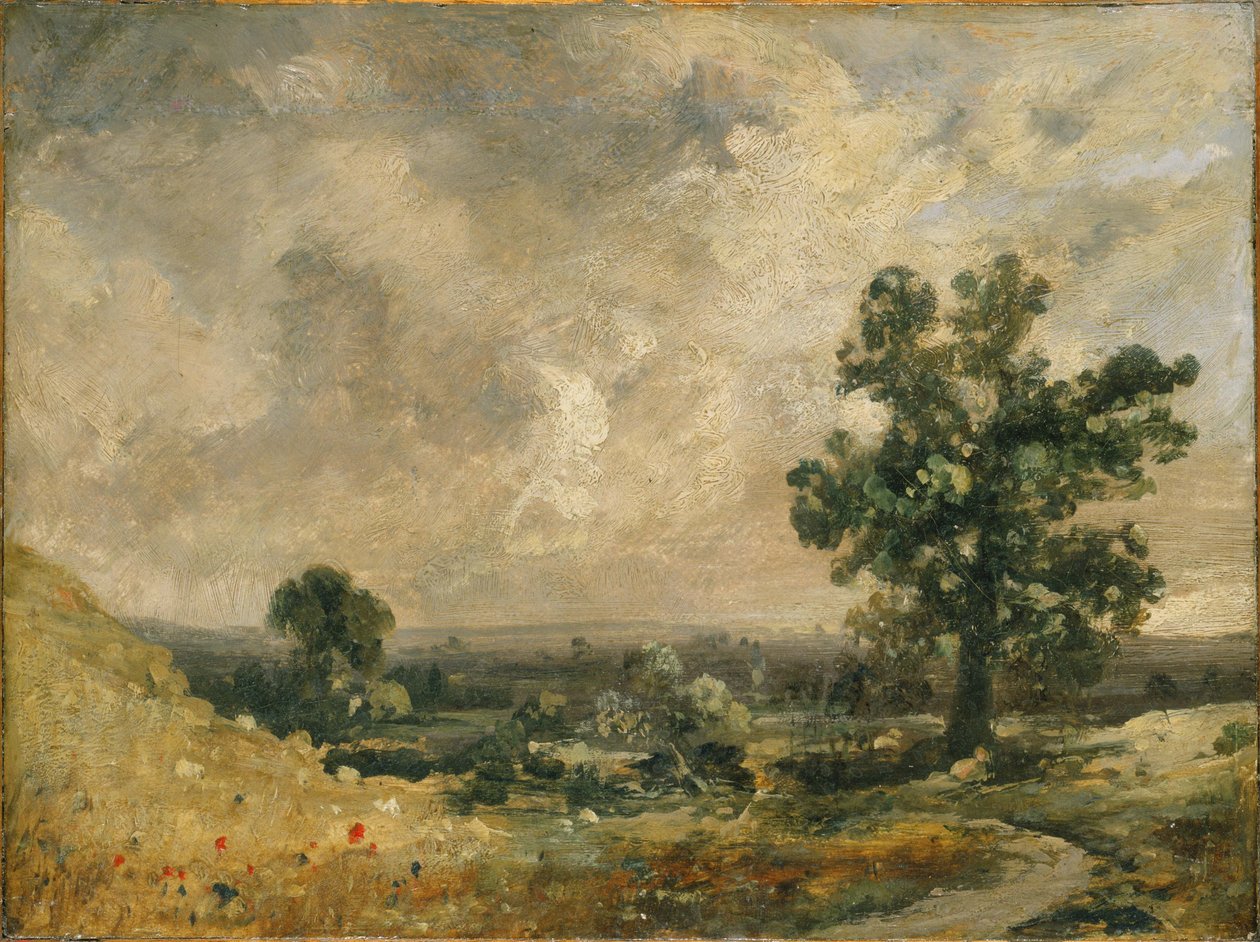 Engels landschap door John Constable