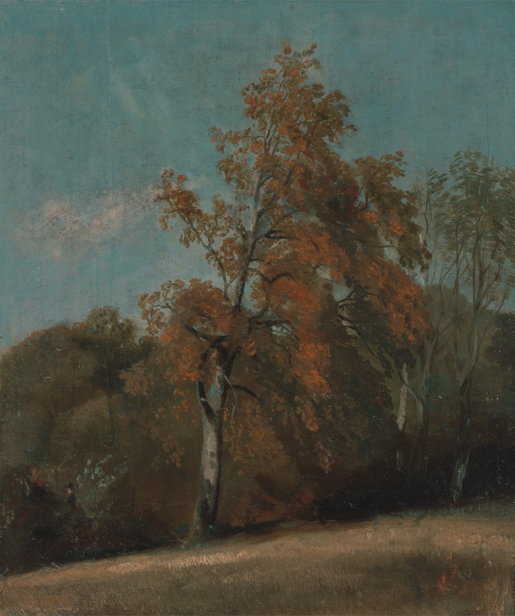 Studie van een es door John Constable