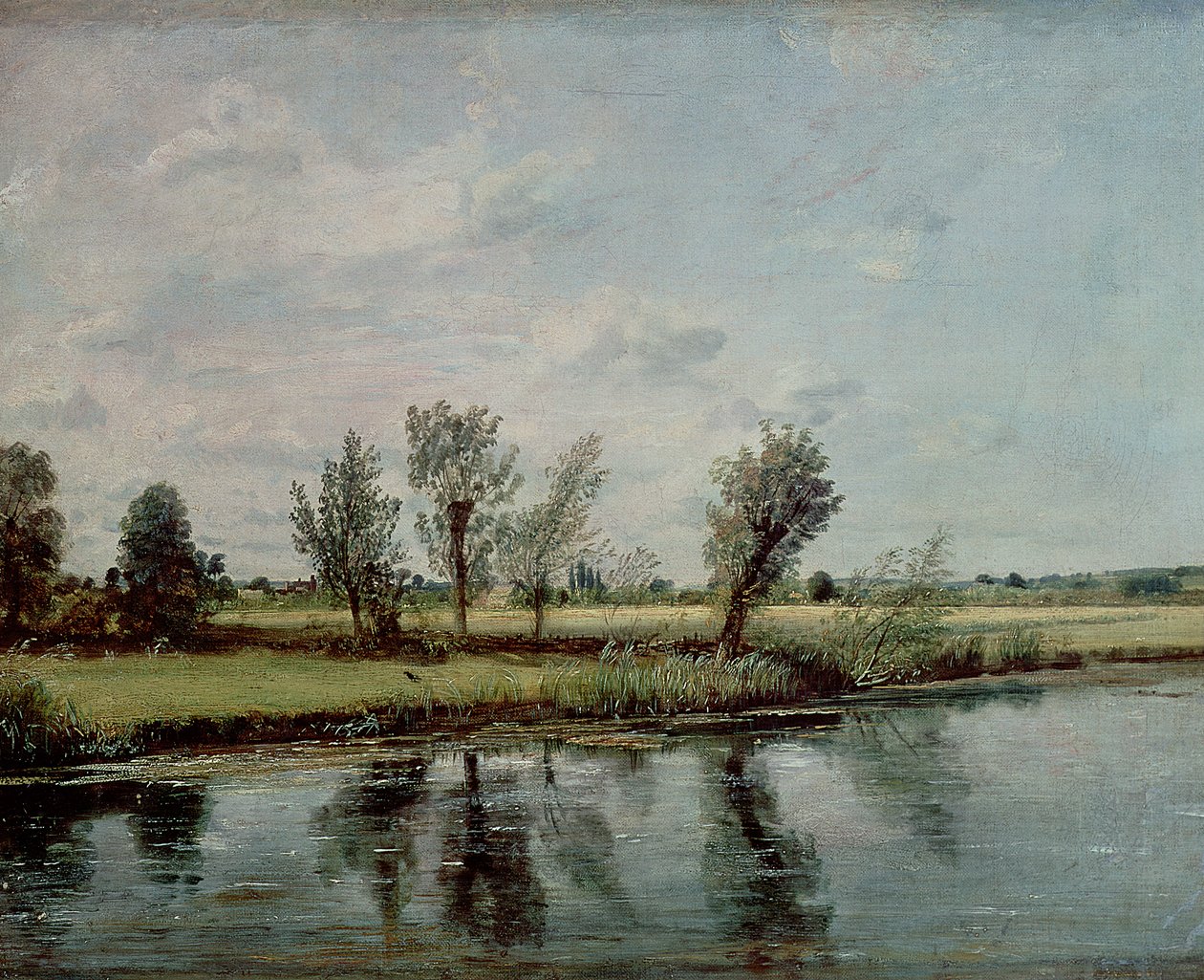Waterweiden bij Salisbury door John Constable