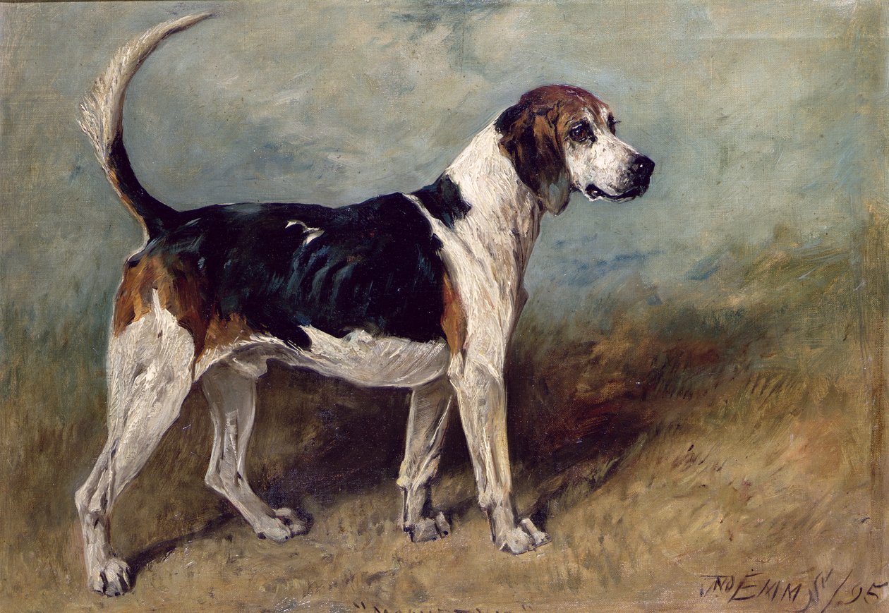 Maansteen, 1895 door John Emms