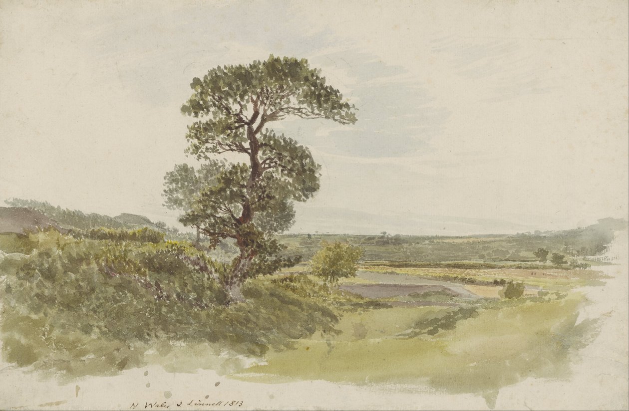 Een landschap in Snowdonia met een boom op de voorgrond door John Linnell