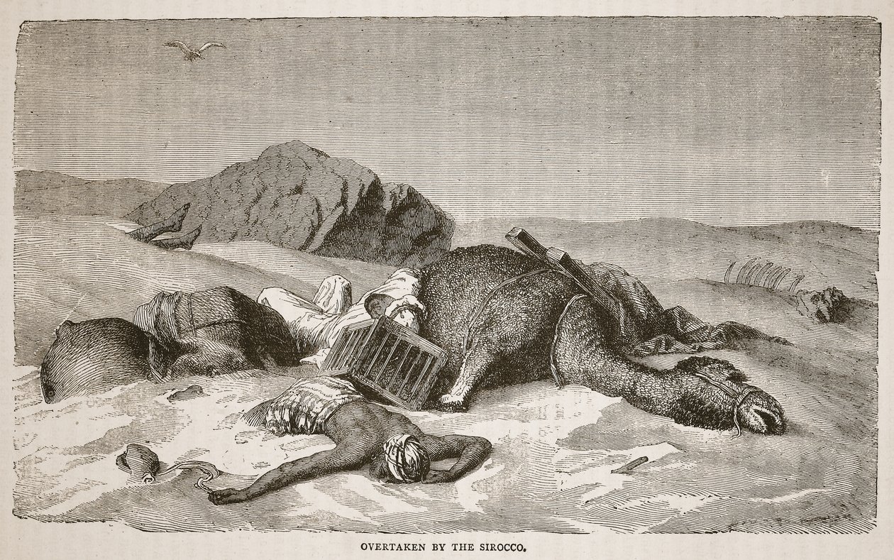 Overvallen door de Sirocco, illustratie uit The Pictorial Edition of the Life and Discoveries of David Livingstone door J. Ewing Richie, uitgegeven door A. Fullarton und Co., 1876 door John Martin