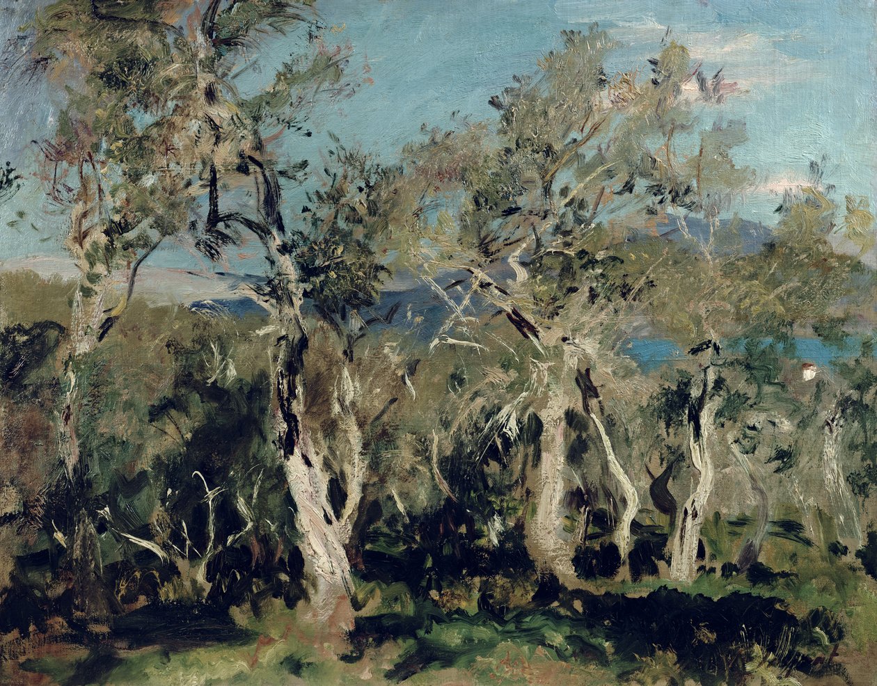 Olijven, Corfu door John Singer Sargent