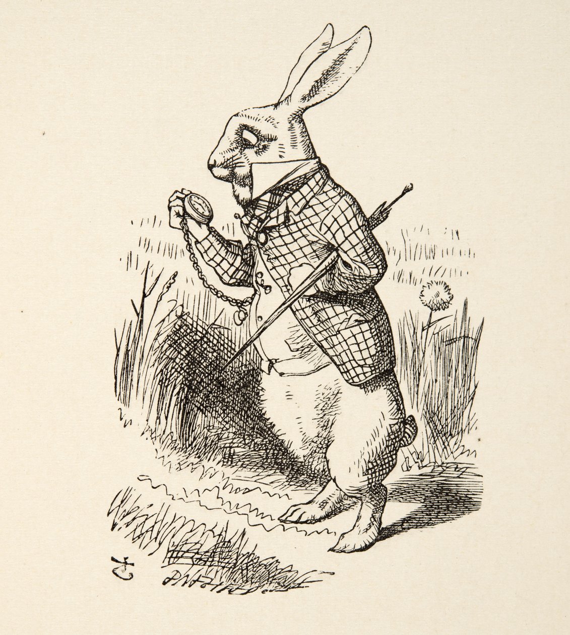 Het Witte Konijn, uit Alice