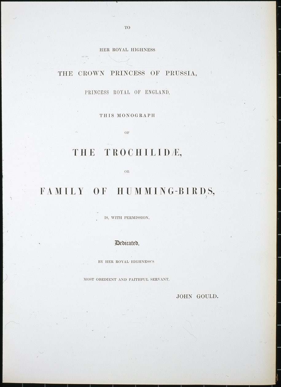 Frontispice door John (after) Gould