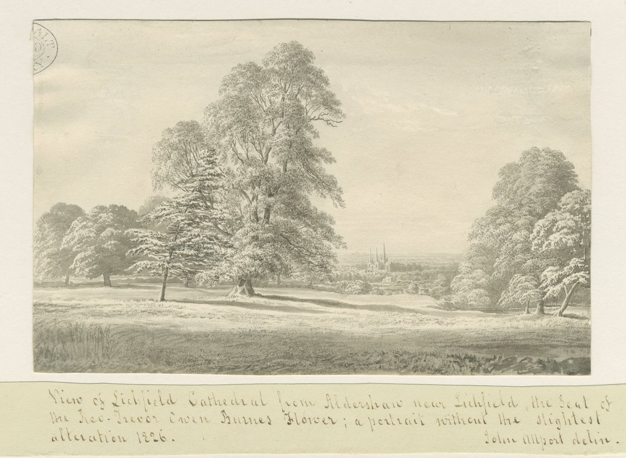 Lichfield Kathedraal - Uitzicht vanaf Aldershaw (verre): sepia tekening door John Allport
