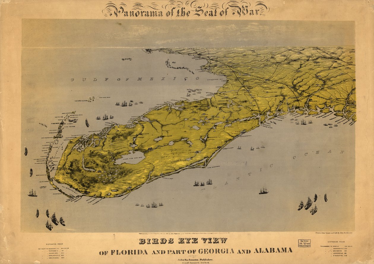 Vogelvlucht van Florida en een deel van Georgia en Alabama LOC 99447266 door John Bachmann