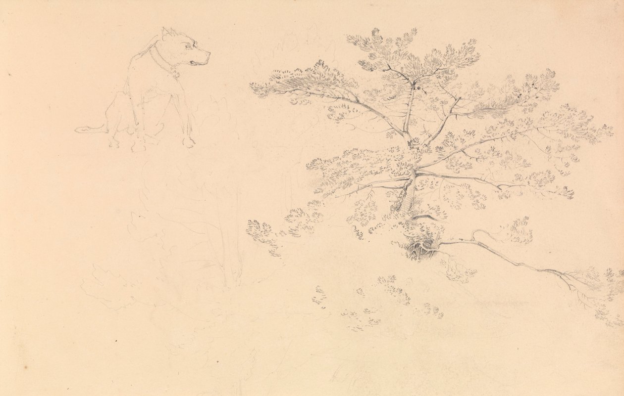 Studie van een hond met halsband en van boomtakken door John Christian Schetky
