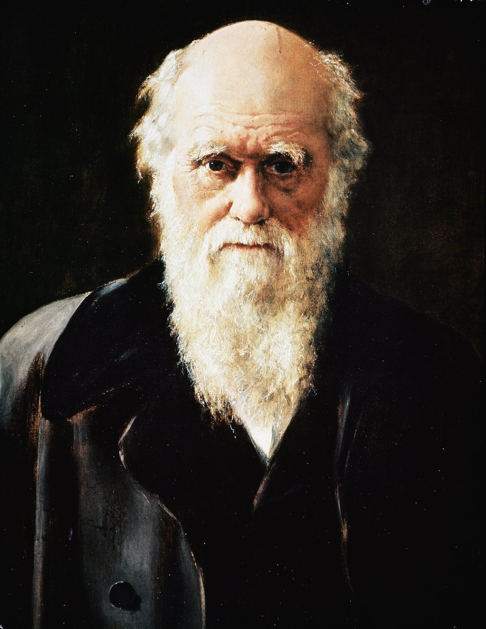 Portret van de Engelse natuuronderzoeker Charles Darwin (detail) door John Collier