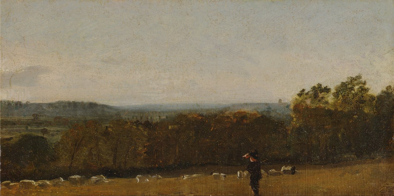Een herder in een landschap kijkt over Dedham Vale naar Langham door John Constable