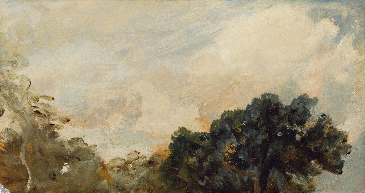Wolkstudie met bomen, 1821 door John Constable