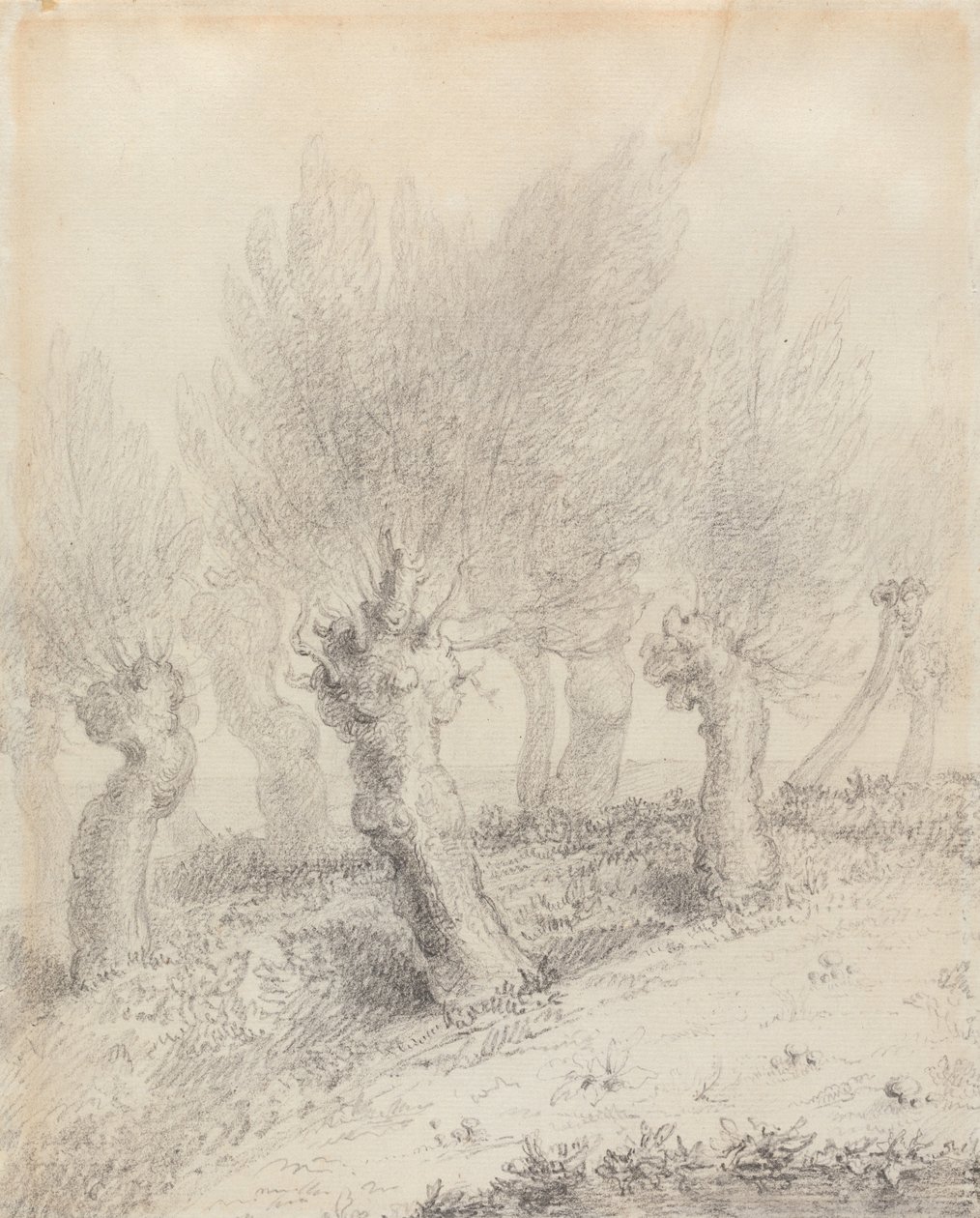 Geknotte wilgen door John Constable