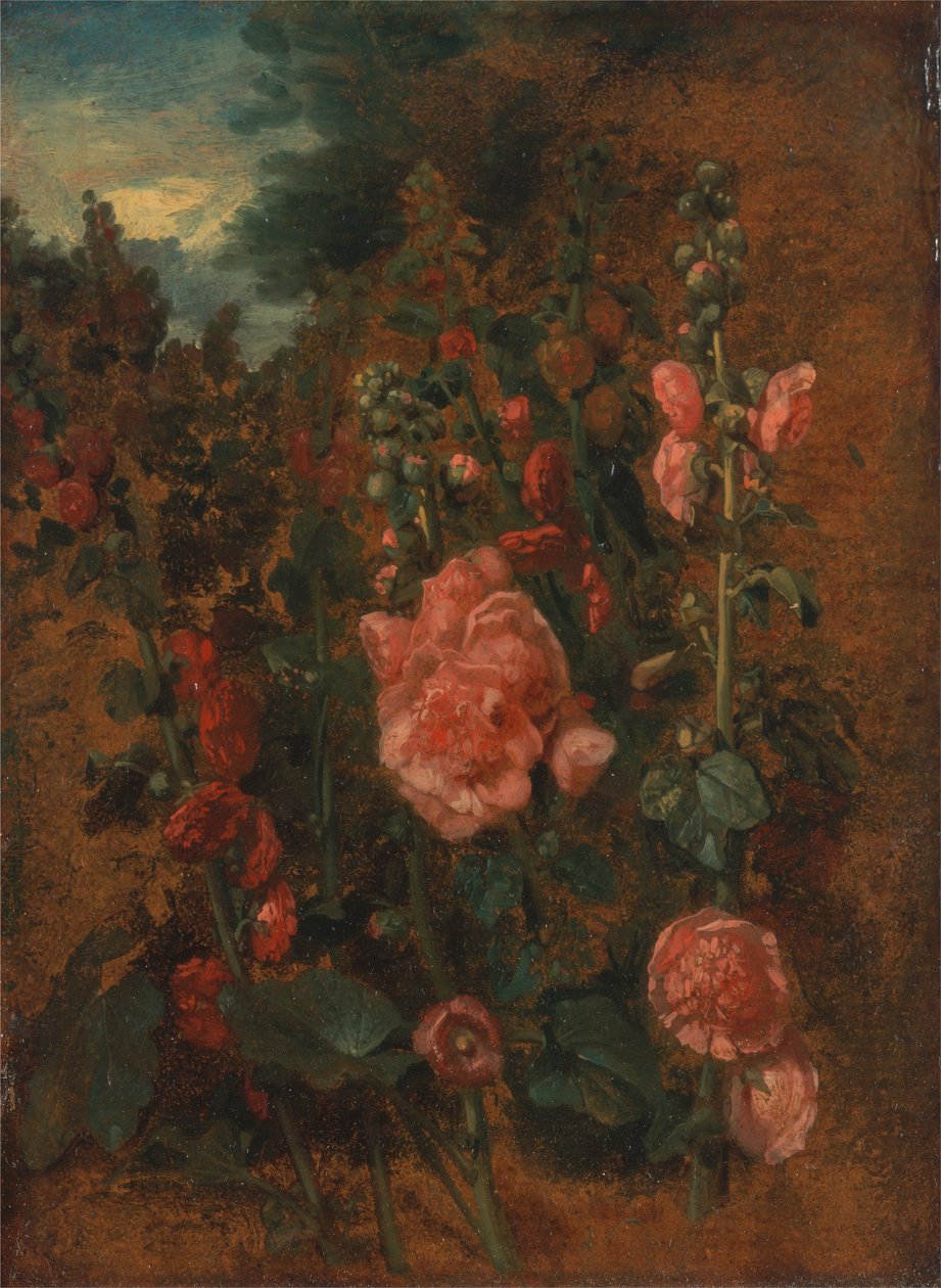 Studie van stokrozen door John Constable
