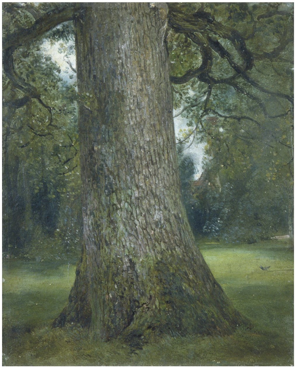 Studie van de stam van een iep, ca. 1824 door John Constable