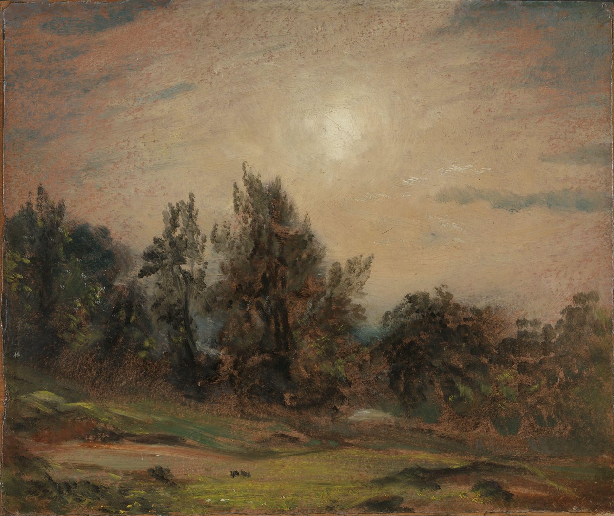 Bomen op Hampstead Heath door John Constable