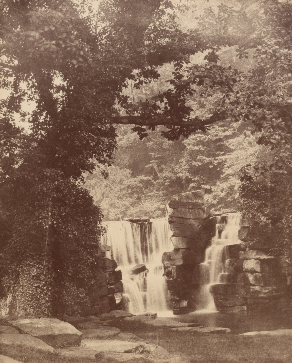 De bovenste watervallen, bossen in de Penllergare-vallei, ca. 1852 (foto) door John Dillwyn Llewelyn