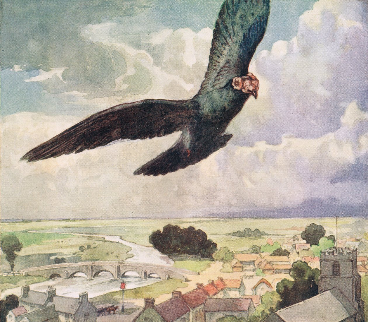 Vogel die over een stad vliegt, illustratie uit 