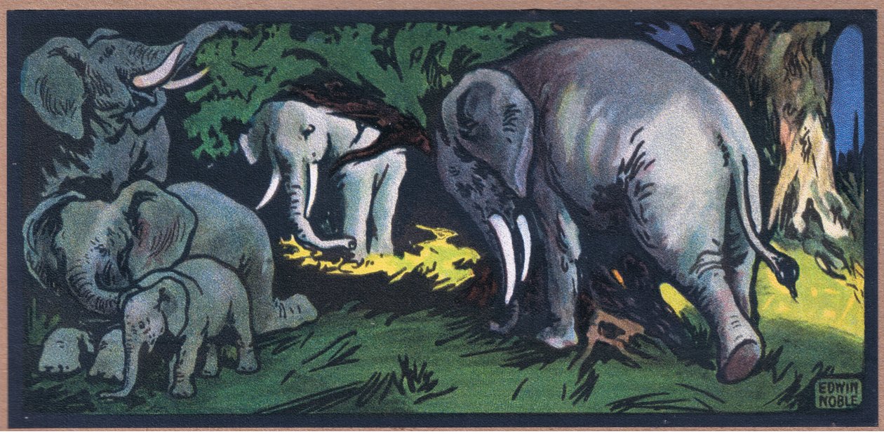 Olifant in het wild door John Edwin Noble