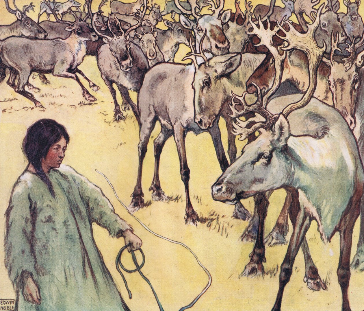 Elandkudde, illustratie uit 