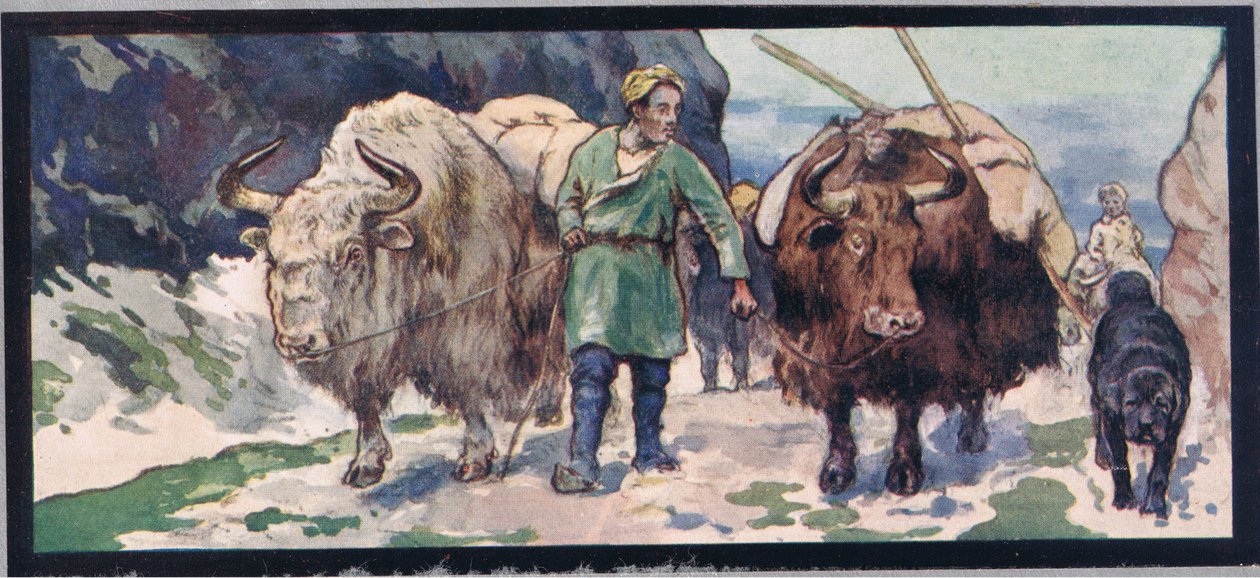 Bergjaks, illustratie uit 