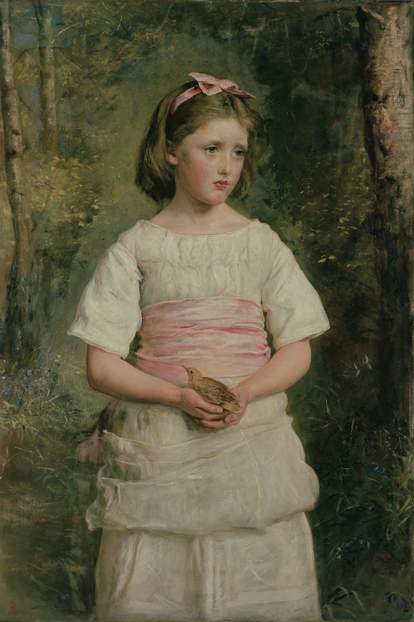 Uit het nest gevallen door John Everett Millais