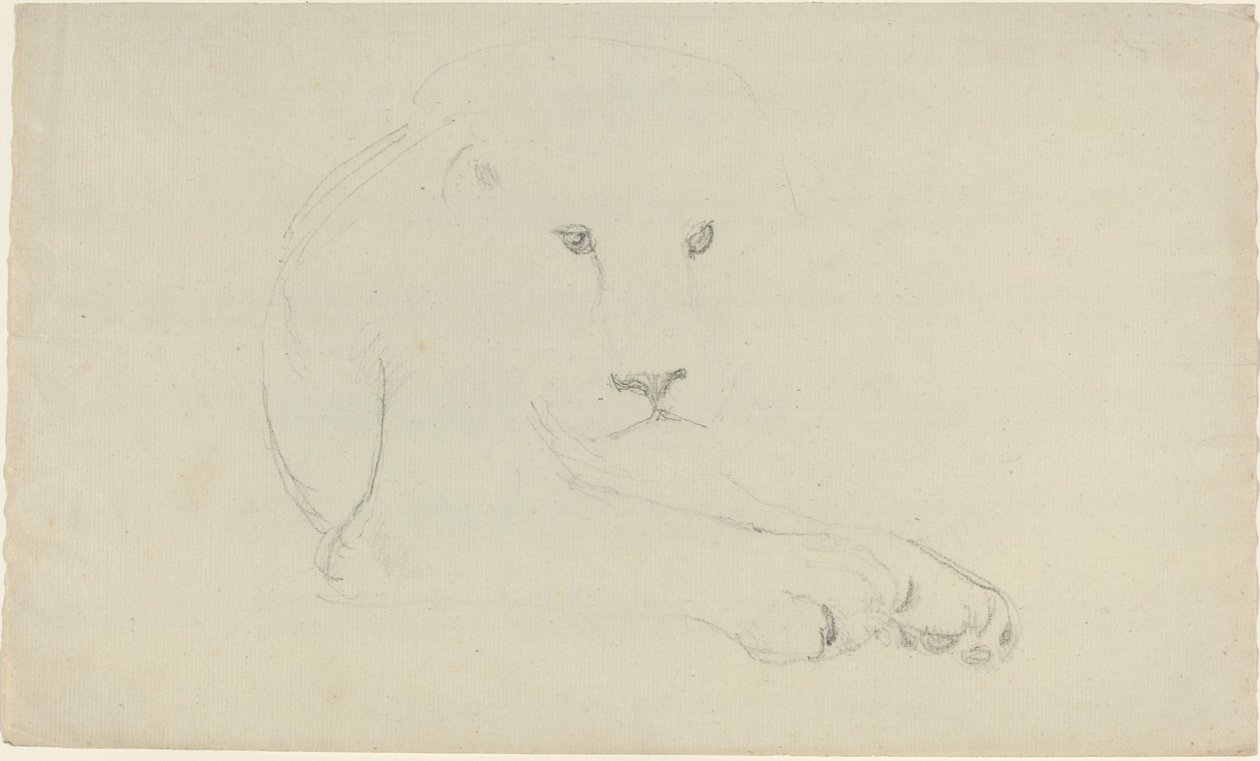 Leeuw door John Flaxman