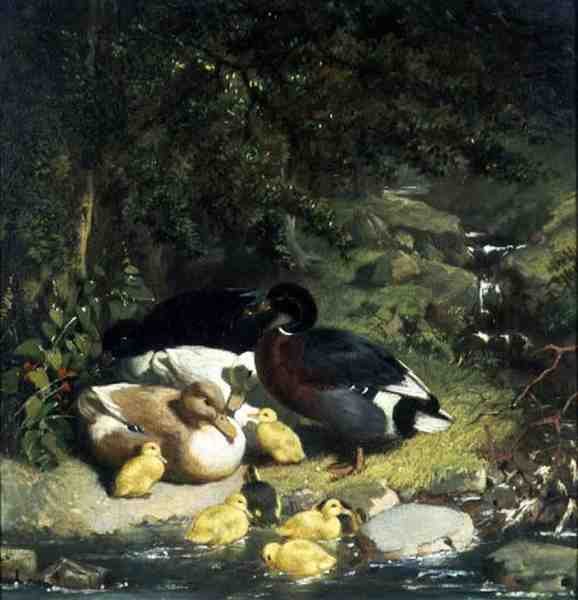 Eenden en eendjes door John Frederick Herring Senior