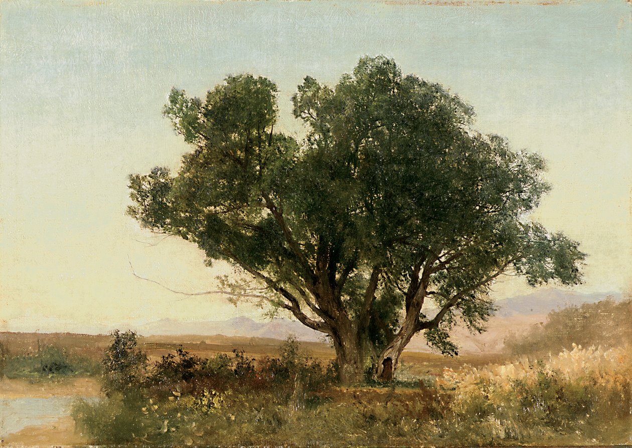 De Front Range, Colorado door John Frederick Kensett
