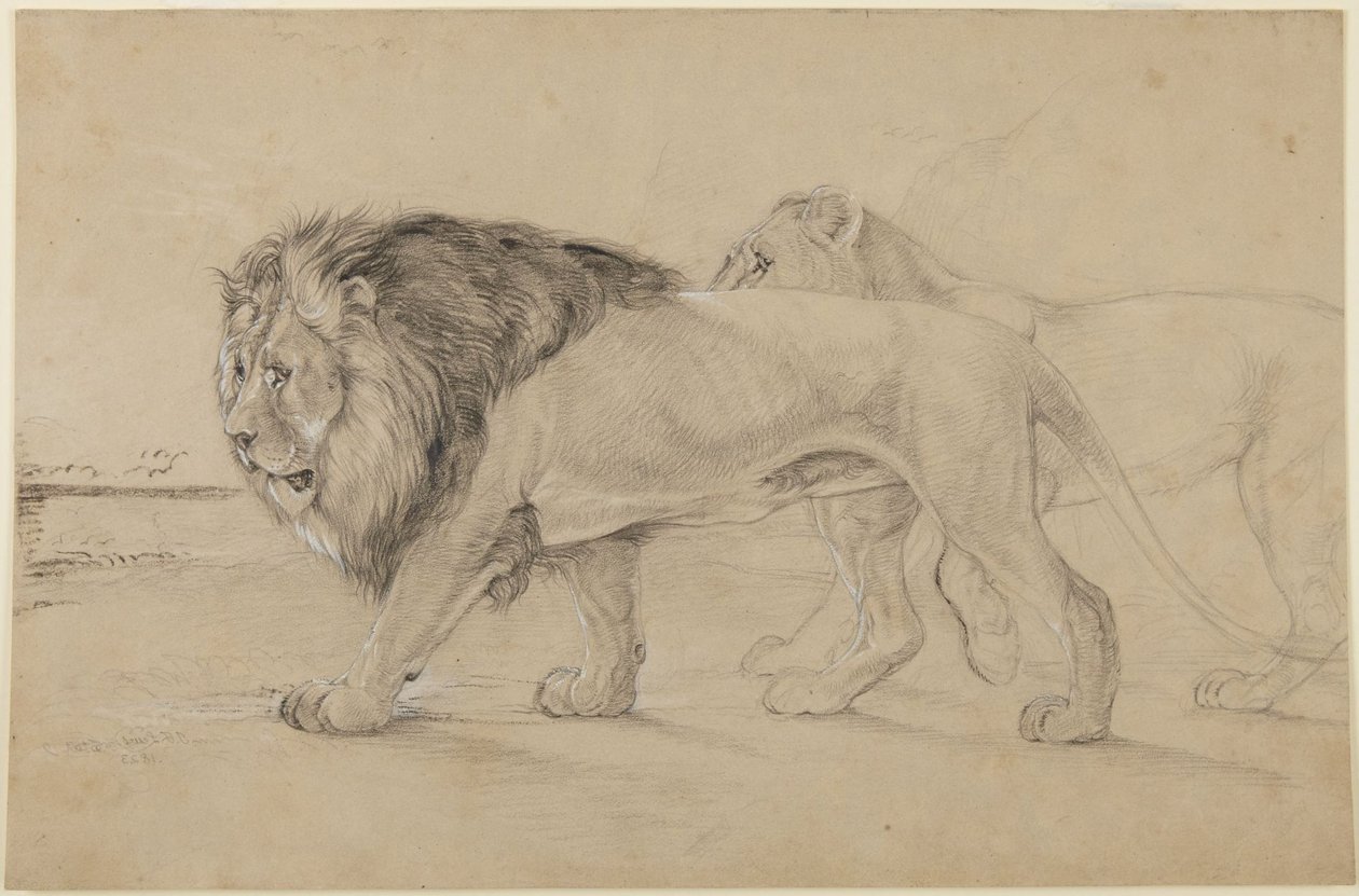 Lions door John Frederick Lewis