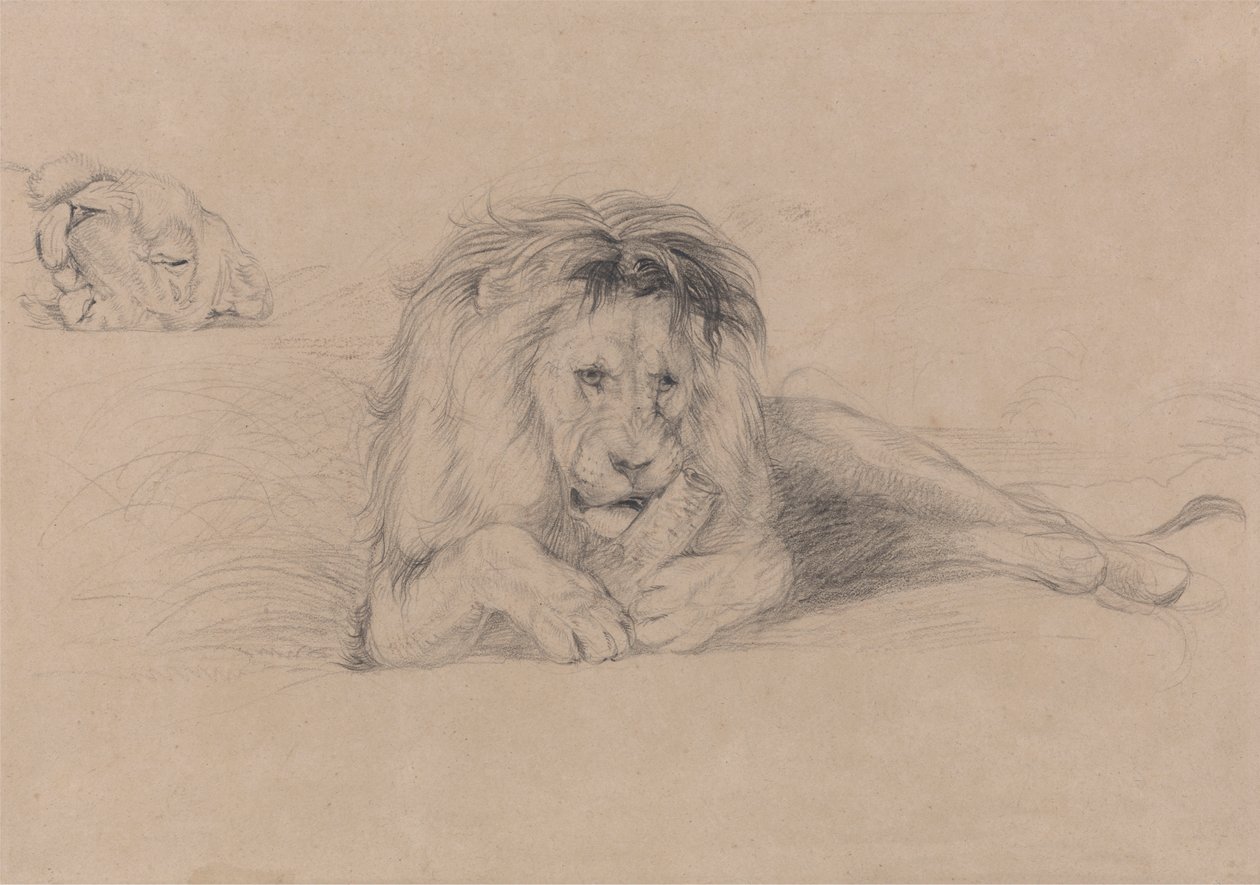 Studie van een leeuw en studie van een leeuwenkop door John Frederick Lewis