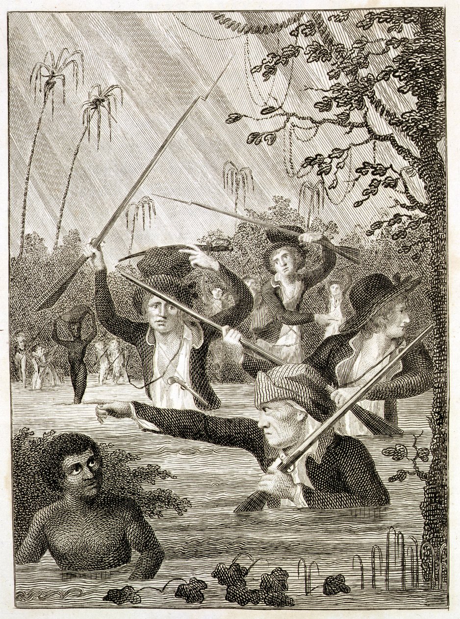 Mars door een Moeras of Moeras in Terra Firma door John Gabriel (after) Stedman