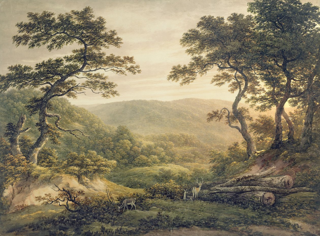 Naaldbos, Hampshire door John Glover