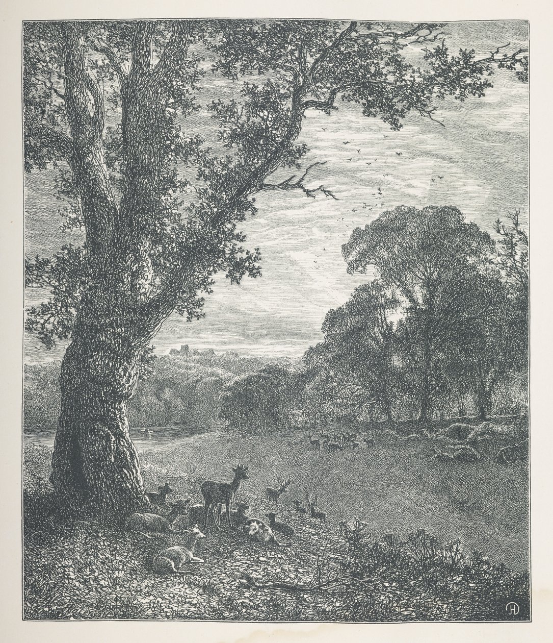 Plaat 3. Herten rond een boom. Nature Pictures. Een serie van dertig originele illustraties getekend op hout door J. H. Dell, en gegraveerd door R. Paterson door John Henry Dell