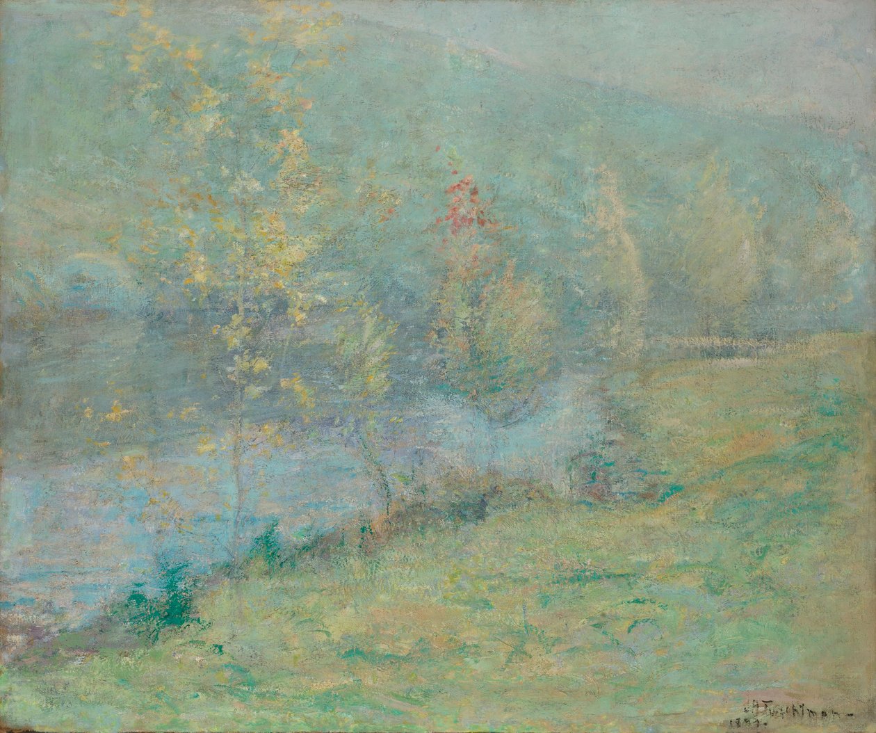 Mistige meimorgen door John Henry Twachtman