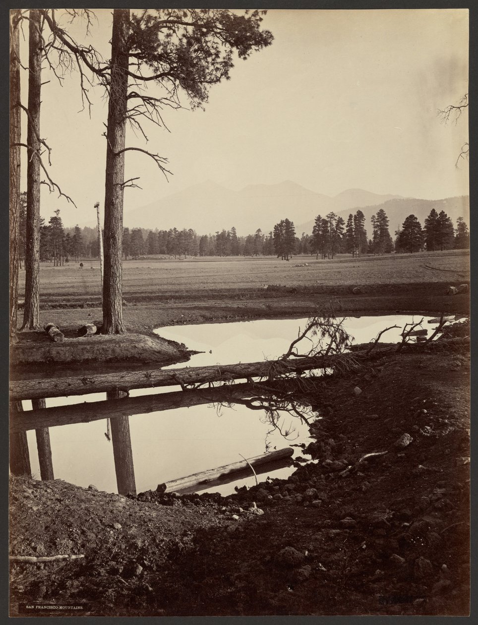 San Francisco Mountains, Arizona door John K. Hillers