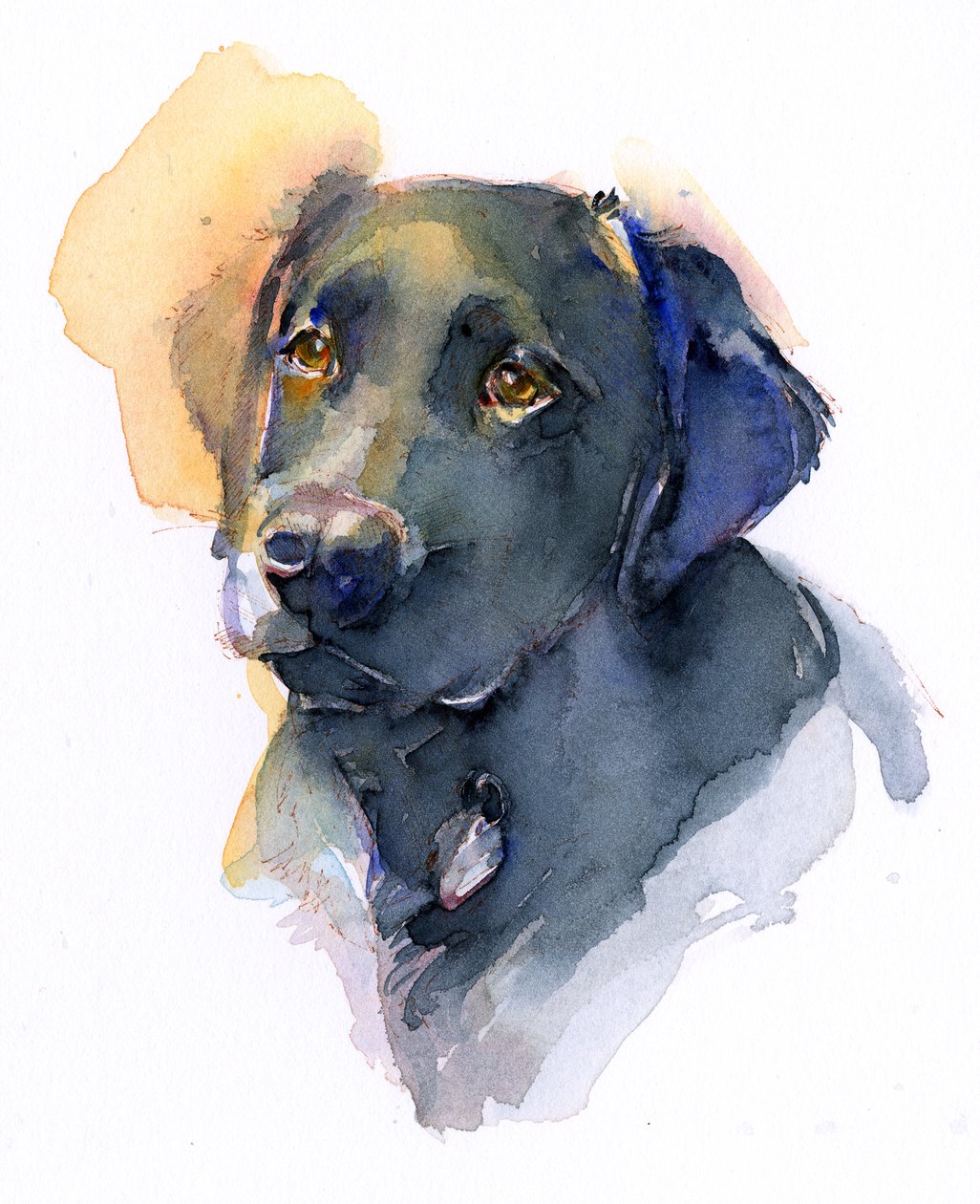 Zwarte labrador door John Keeling