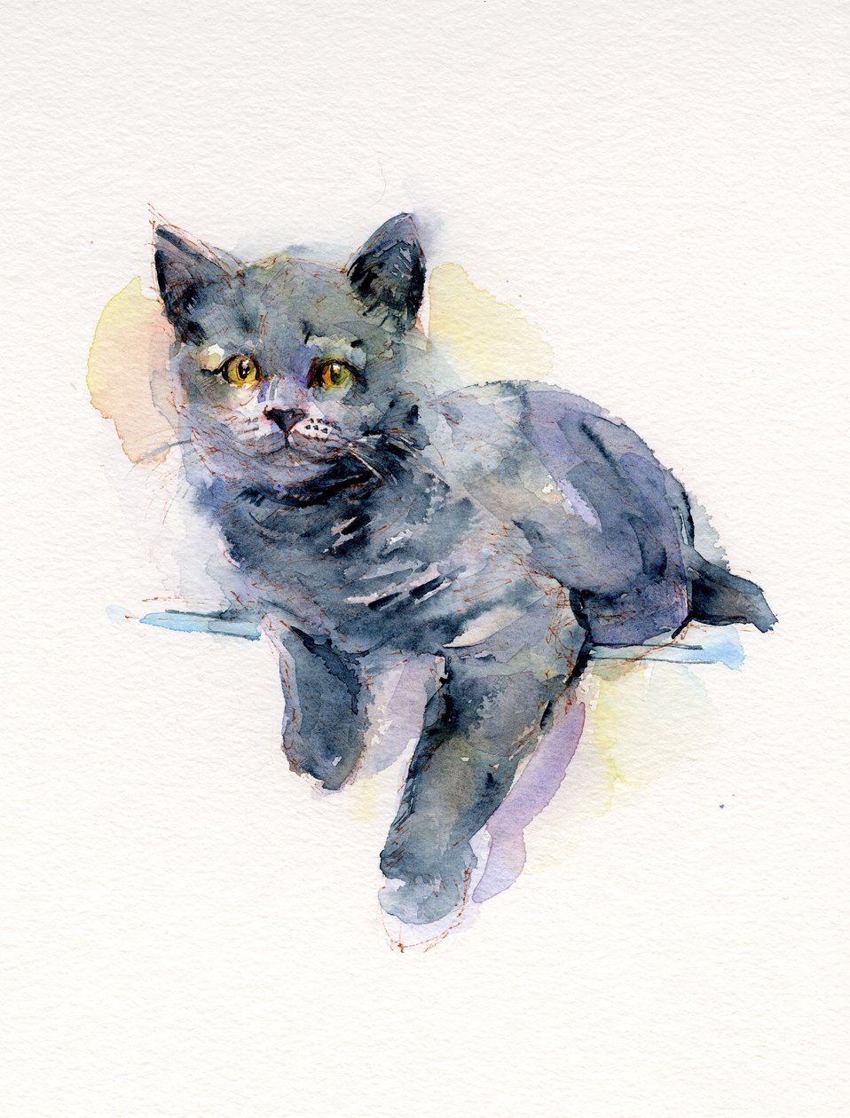 Grijze Kitten door John Keeling